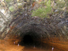 
Henllys Colliery drainage level, Cwmcarn, May 2010